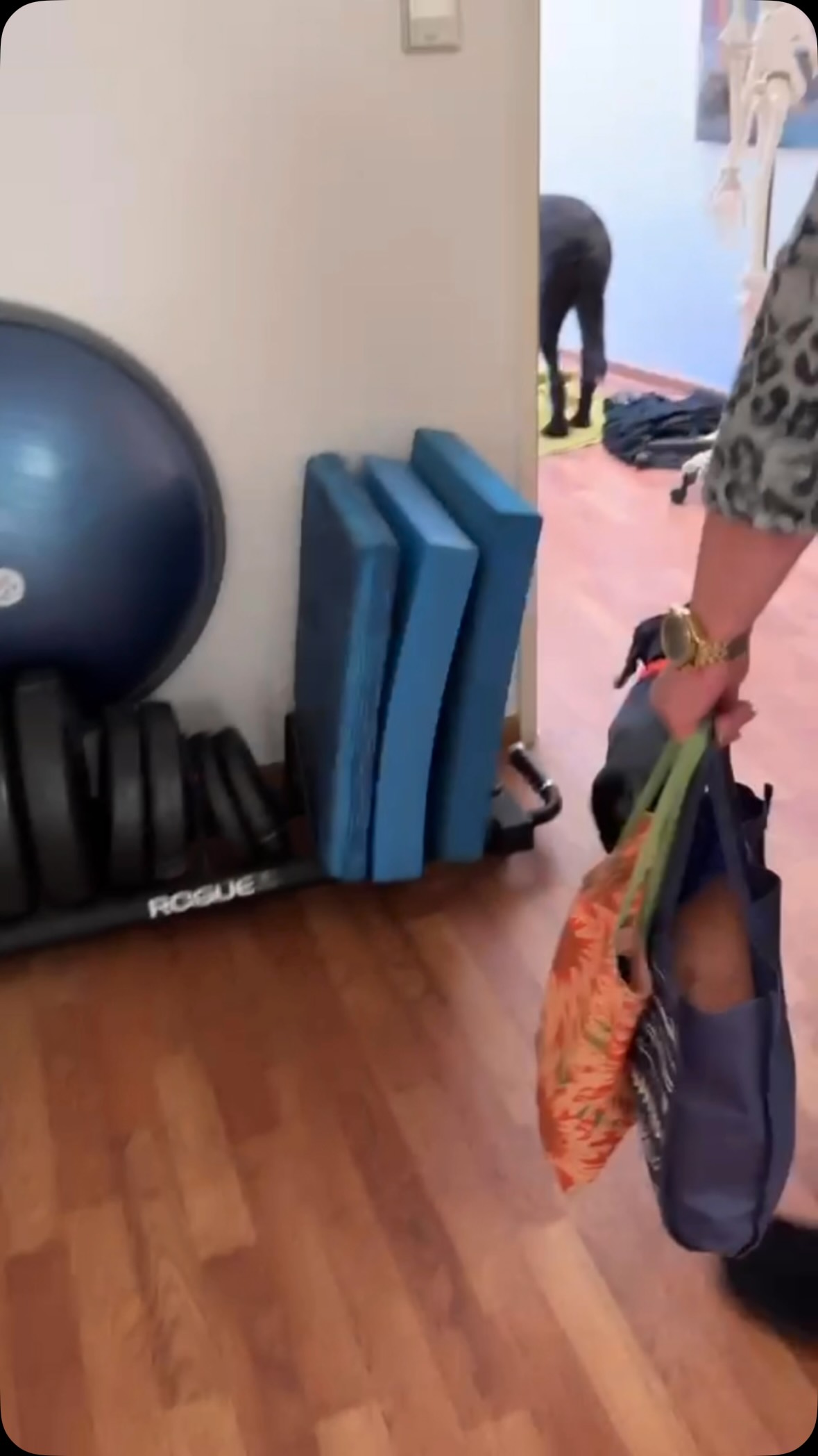 Video by Physiotherapie Weißelberg on September 23, 2026.